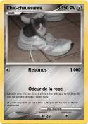 Chat-chaussures