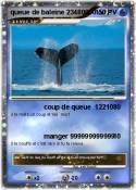queue de balein