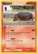 hippopota