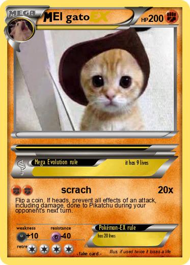 Pokemon El gato 14