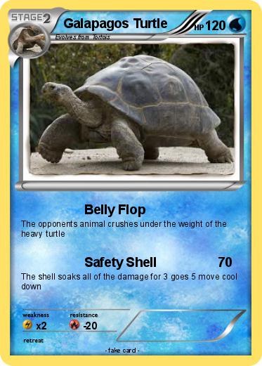 Pokemon Galapagos Turtle