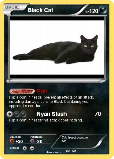 Pokemon Black Cat