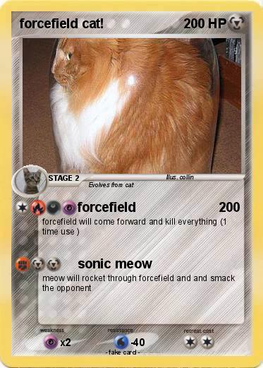Pokemon forcefield cat 1