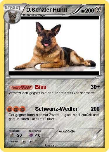 Pokemon D Schafer Hund