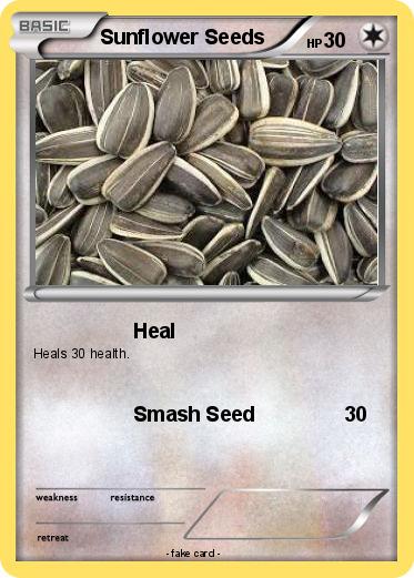 Pokemon Sunflower Seeds
