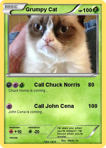Pokemon Grumpy Cat 1100