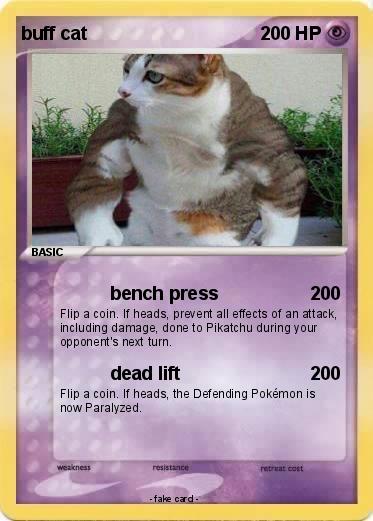 Pokemon buff cat 13