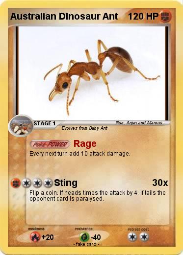 Pokemon Australian DInosaur Ant