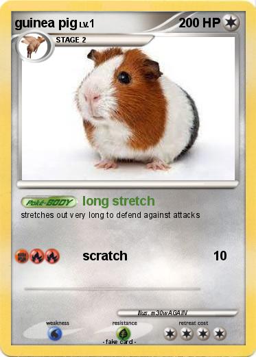 Pokemon guinea pig