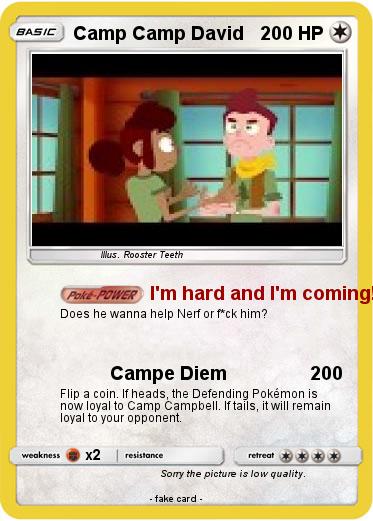Pokemon Camp Camp David
