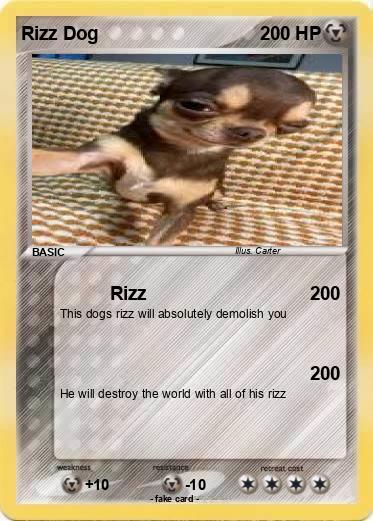 Pokemon Rizz Dog