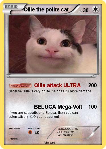 Pokemon Ollie the polite cat