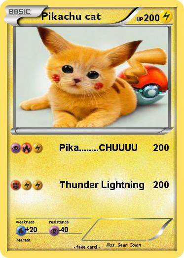 Pokemon Pikachu cat