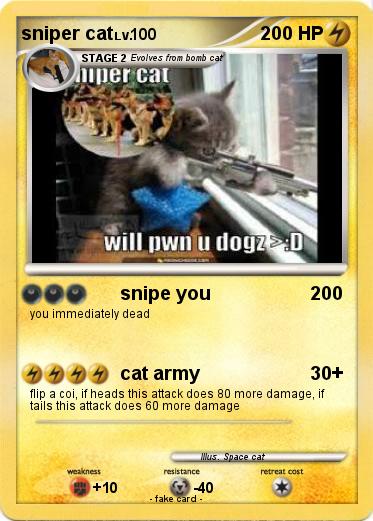 Pokemon sniper cat