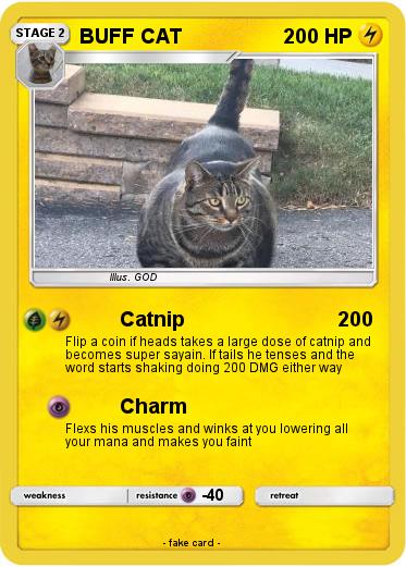Pokemon BUFF CAT 6