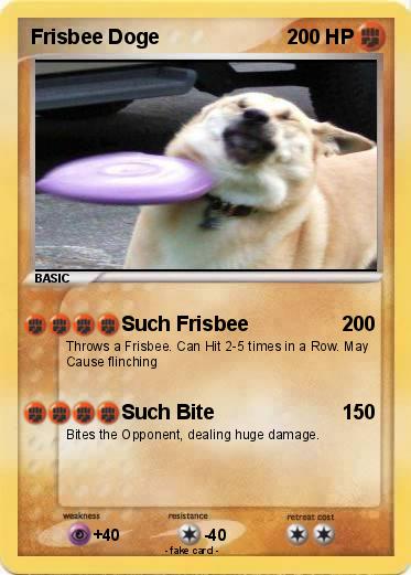 Pokemon Frisbee Doge