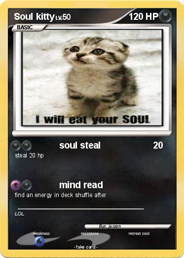 Pokemon Soul kitty