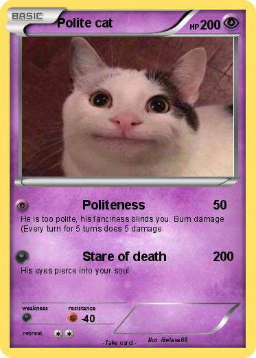 Pokemon Polite cat 14