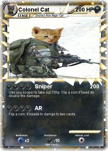 Pokemon Colonel Cat