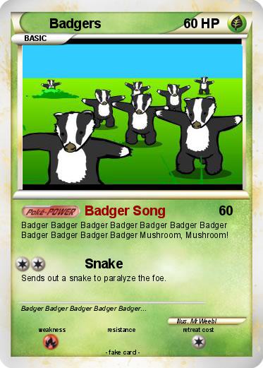 Pokemon Badgers 7