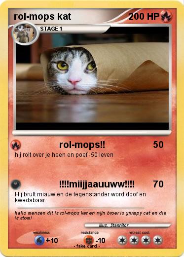 Pokemon rol mops kat