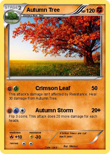 Pokemon Autumn Tree
