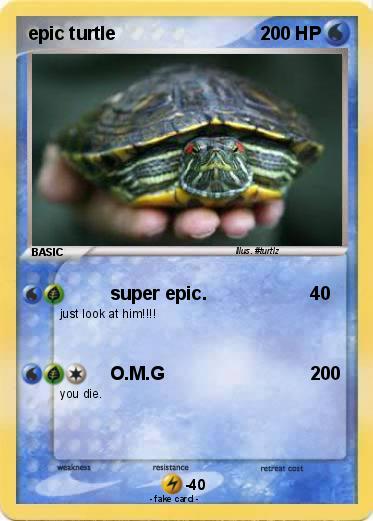 Pokemon epic turtle