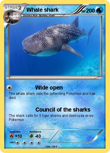 Pokemon Whale shark 18