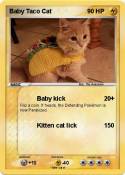 Baby Taco Cat