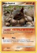 Mega Squirrel