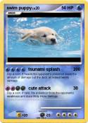 swim puppy