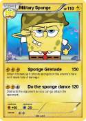 Military Sponge