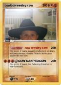 cowboy wesley