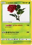 a random rose