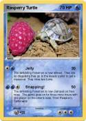 Rasperry Turtle