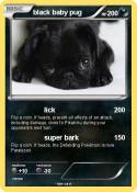 black baby pug