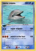 master dolphin