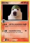coco dog