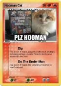 Hooman Cat