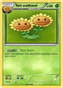 Twin sunflower