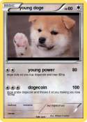 young doge
