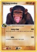 big tung monkey
