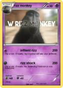 rizz monkey