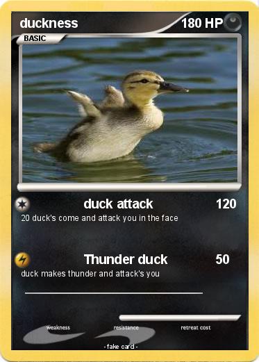 Pokemon duckness