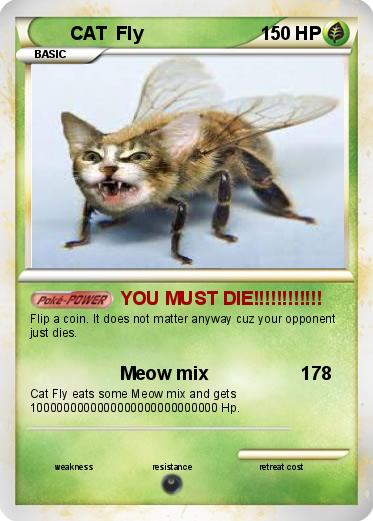Pokemon CAT  Fly