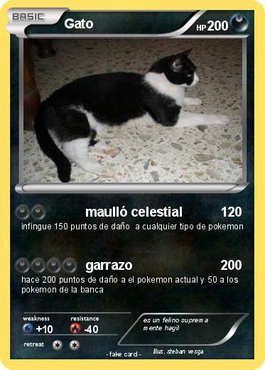 Pokemon Gato 139