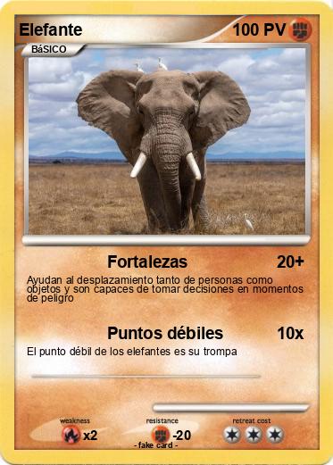 Pokemon Elefante