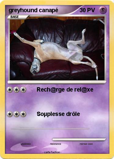 Pokemon greyhound canapé
