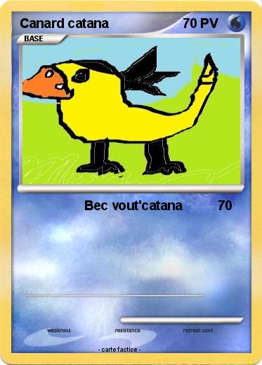Pokemon Canard catana