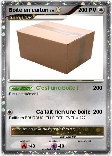 Pokemon Boite en carton